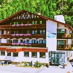 Garni Birkenhof Hotel 2*